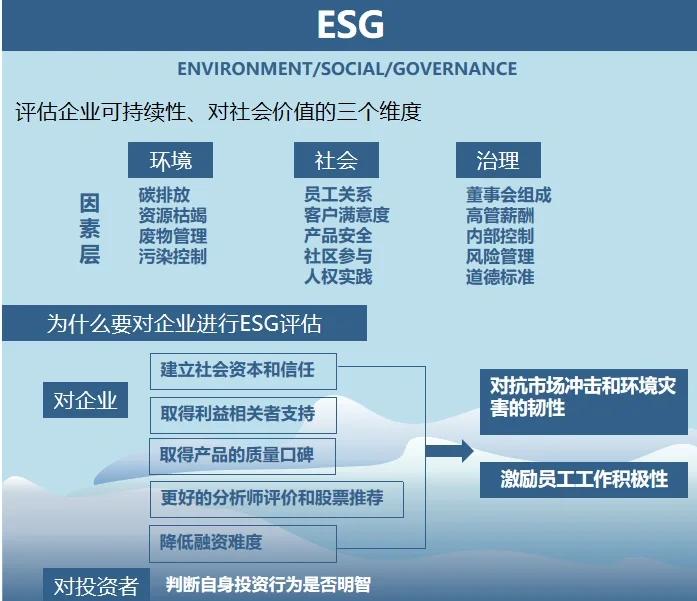双碳战略咨询服务(双碳战略是什么意思)陇南市