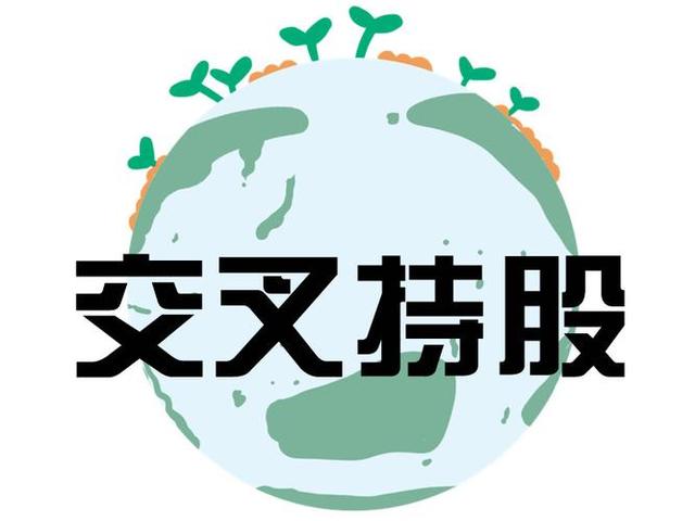 交叉持股安排设计(交叉持股怎么计算持股比例)陇南市