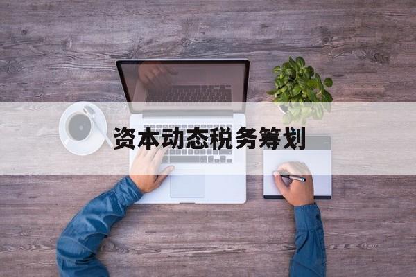 资本动态税务筹划(资本动态税务筹划案例)陇南市