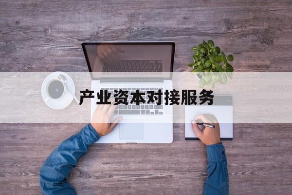 产业资本对接服务(产业资本对接服务包括哪些)陇南市